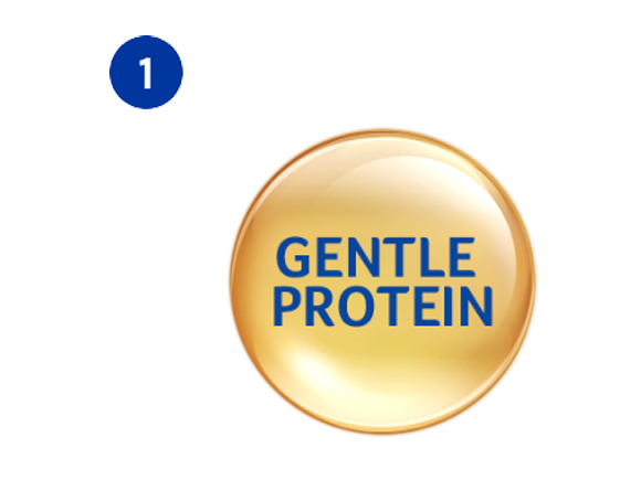 Gentle Protein