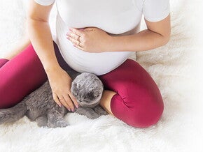 20-Week Pregnant: Development and Diet 20-Week Pregnant: Development and Diet