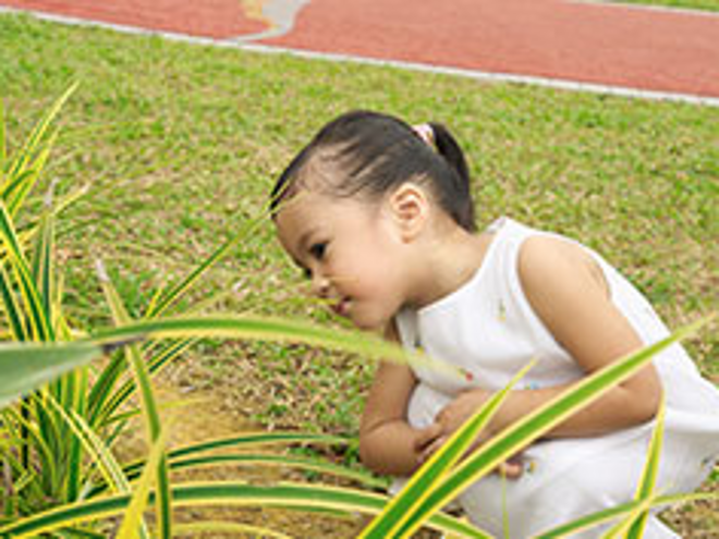 Natural Protection - Benefits of Probiotics for Children Natural Protection - Benefits of Probiotics for Children